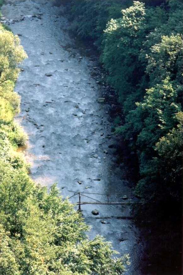 oslavka