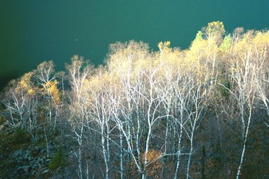 Bear lake